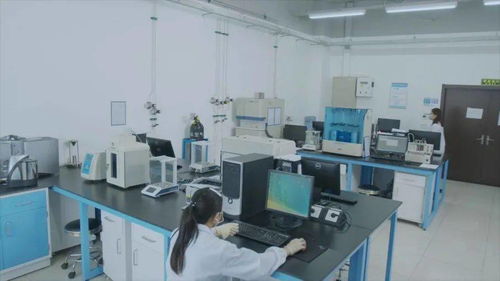 有研集團國家動力電池質檢中心 以專業(yè)定制化服務創(chuàng)新驅動北京技術服務業(yè)升級
